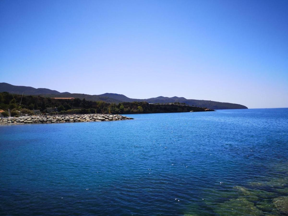 Panos & Antzy Apartments Каламата Экстерьер фото